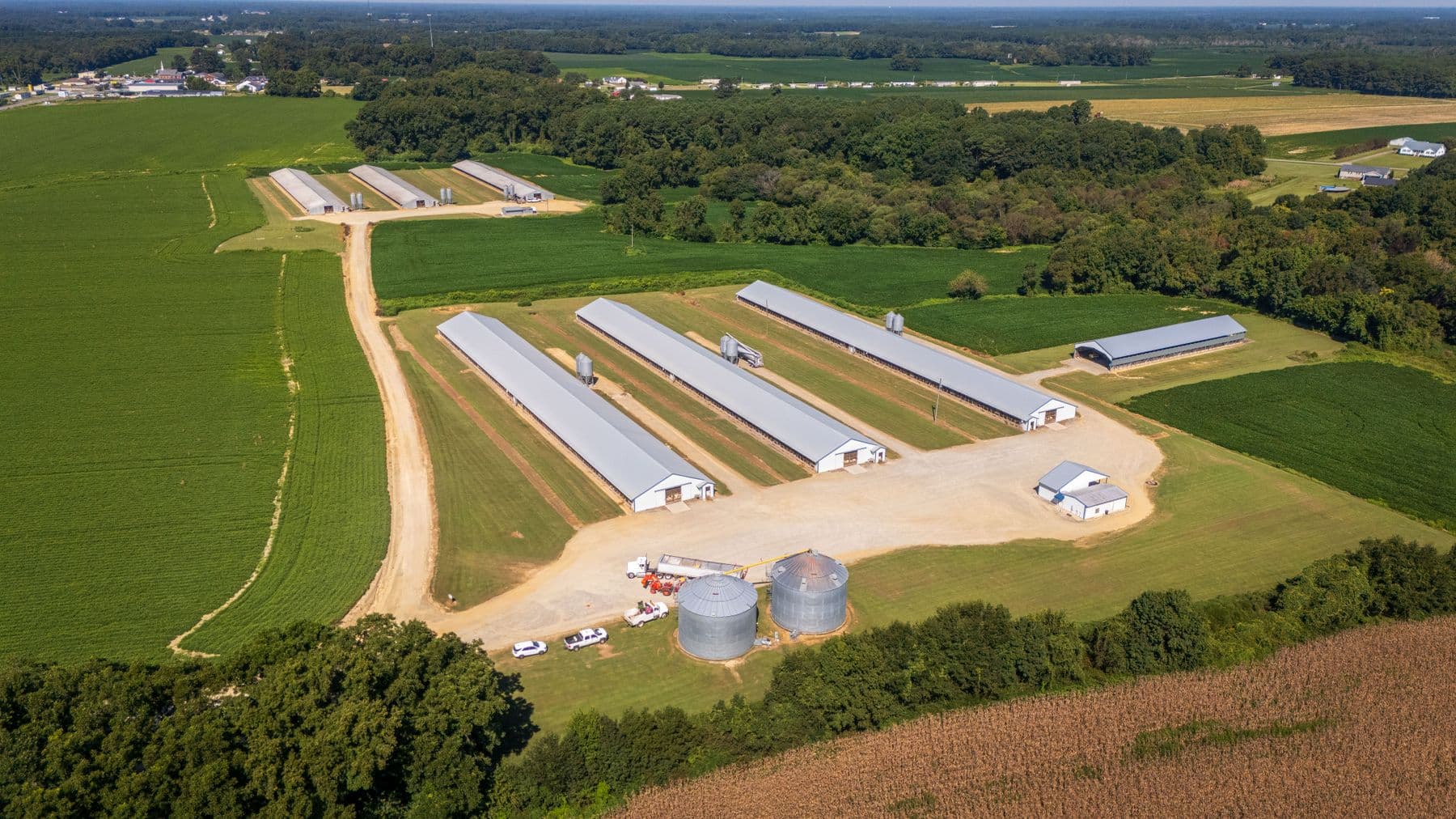 Aerial view of a poultry farm site with several long houses