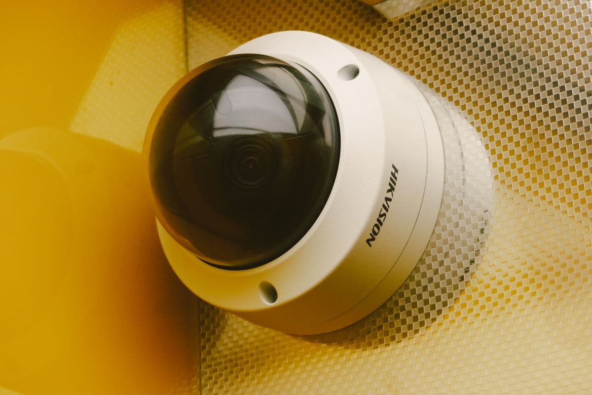 Fixed dome camera of the type mounted above the flock